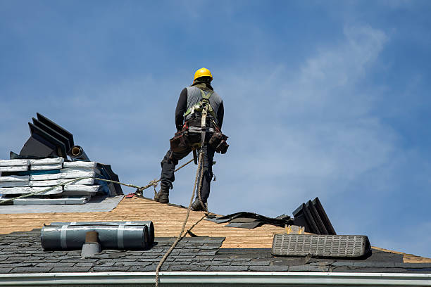 Professional Storm Damage Roof Repair technician working in Niles, OH